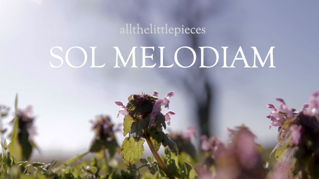 Filmmaker Justin Hannah to direct "Sol Melodiam" by All the Little Pieces